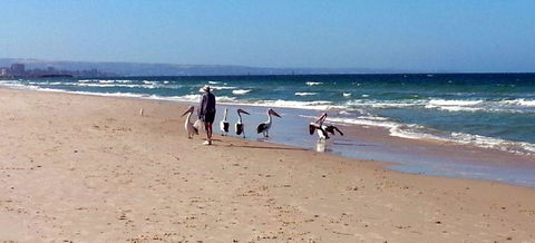 Atlantic West Beach Apartments - Tourism Brisbane 20