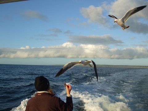 Casuarina Coastal Units - Brisbane Tourism 25