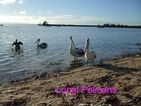 Casuarina Coastal Units - Brisbane Tourism 23