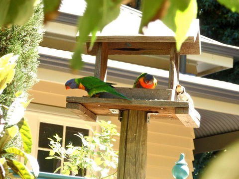 Aldgate Valley Bed And Breakfast - Brisbane Tourism 42