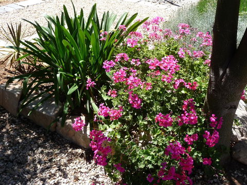 Country Bakehouse Accommodation - Tourism Brisbane 18