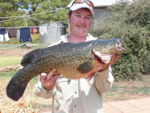 Country Bakehouse Accommodation - Tourism Brisbane 20