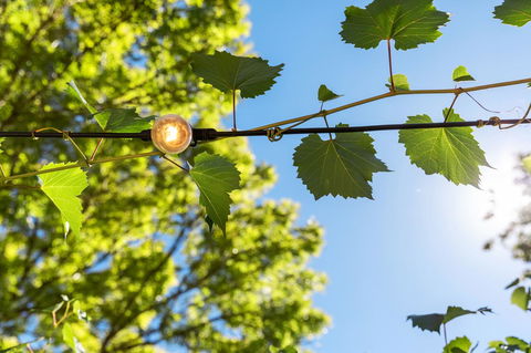 Adelaide Hills Retreats - Brisbane Tourism 32
