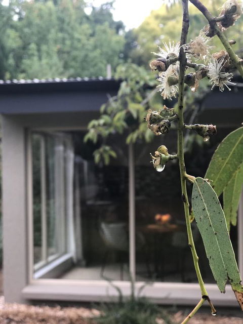 Adelaide Hills Retreats - Brisbane Tourism 9