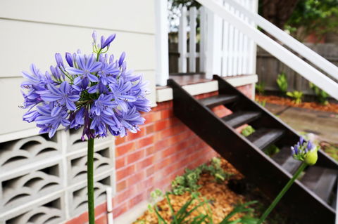 Hudson Bay @ Basin View-Pet Friendly-15 Mins To Hyams Beach - Tourism Brisbane 38