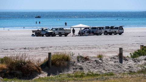 Wallaroo Holiday Park - Tourism Brisbane 9