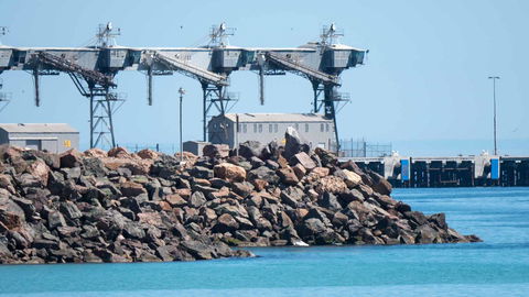 Wallaroo Holiday Park - Tourism Brisbane 6