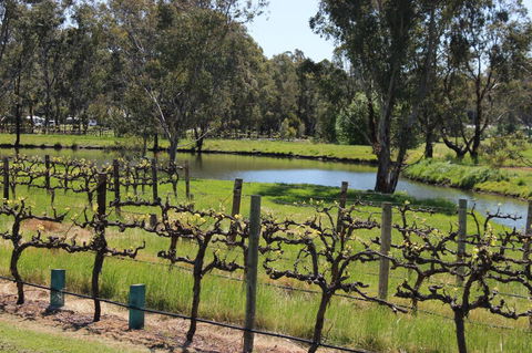 OXENBERRY FARM - Tourism Brisbane 19