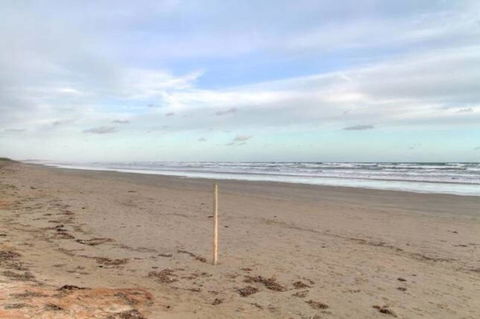 SeaWatch-Sea Views - Tourism Brisbane 6