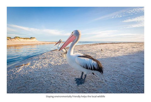 Adelaide Luxury Beach House - Brisbane Tourism 25