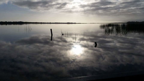 PS Federal Retreat Paddle Steamer Goolwa - Brisbane Tourism 16