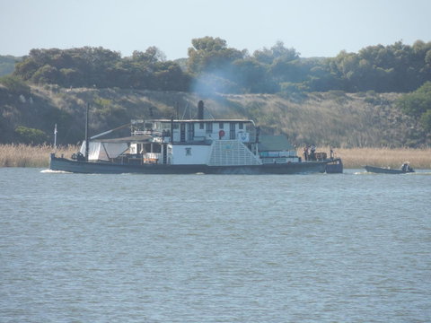 PS Federal Retreat Paddle Steamer Goolwa - Brisbane Tourism 10
