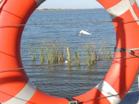 PS Federal Retreat Paddle Steamer Goolwa - Brisbane Tourism 18