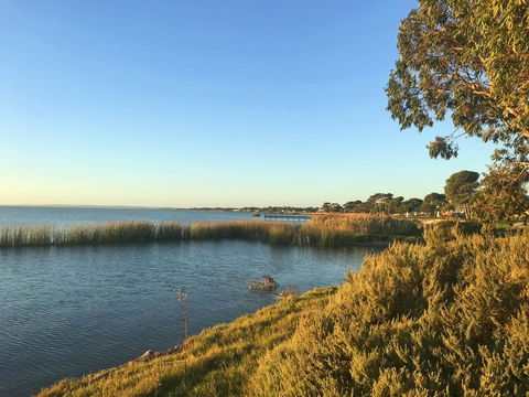 Lake Albert Motel - Tourism Brisbane 8