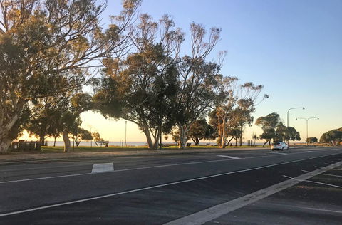 Lake Albert Motel - Tourism Brisbane 9