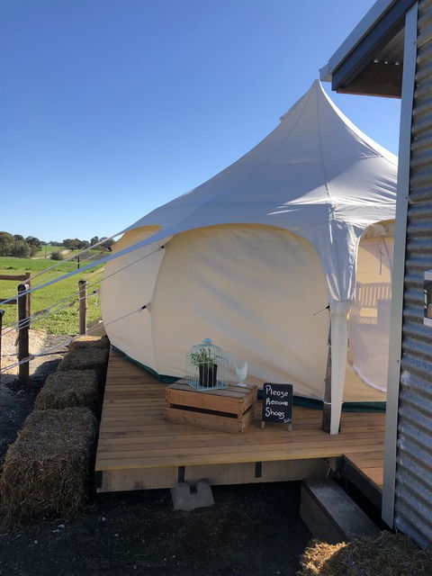 Bukirk Glamping & Fancy Coops - Tourism Brisbane 11
