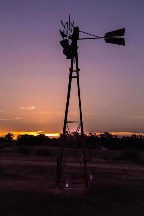 Bukirk Glamping & Fancy Coops - Tourism Brisbane 31