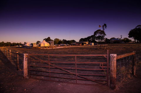 Bukirk Glamping & Fancy Coops - Tourism Brisbane 33