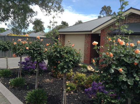 C And C Tanunda - Brisbane 4u 1