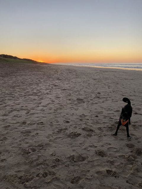 Goolwa Marinerâ€™s Cottage - Free Wifi And Pet Friendly - Centrally Located In Historic Region - Tourism Brisbane 27