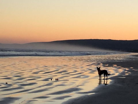 Goolwa Marinerâ€™s Cottage - Free Wifi And Pet Friendly - Centrally Located In Historic Region - Tourism Brisbane 35