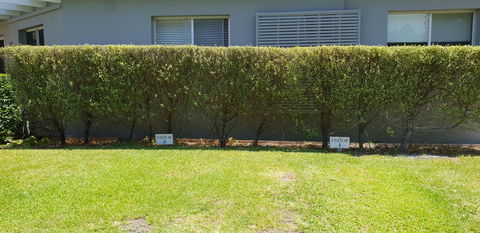 2 Austinmer Studio - Tourism Brisbane 12