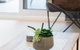 Ther-Rich 2Brm CBD Apartment - thumb 17