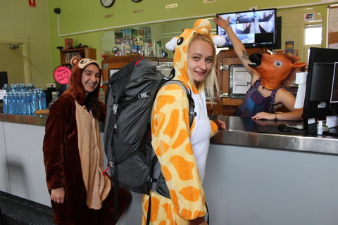 Backpack Oz - Brisbane Tourism 10