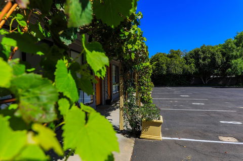 Country Roads Motor Inn Naracoorte - Tourism Brisbane 16