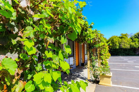 Country Roads Motor Inn Naracoorte - Tourism Brisbane 18