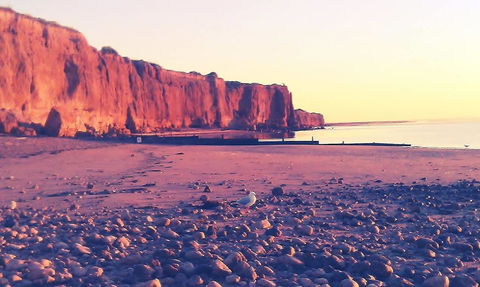 Ardrossan Caravan Park - Tourism Brisbane 31