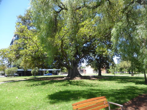 ADELAIDE CENTRAL APARTMENT - 3BR, 2BATH & CARPARK - Brisbane Tourism 30