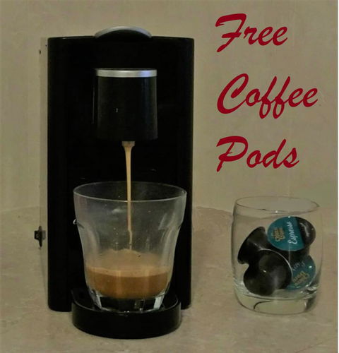 Desert Gum Retreat Gough St - Tourism Brisbane 17