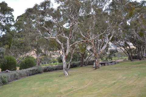 Cabernet Cottage - Tourism Brisbane 8
