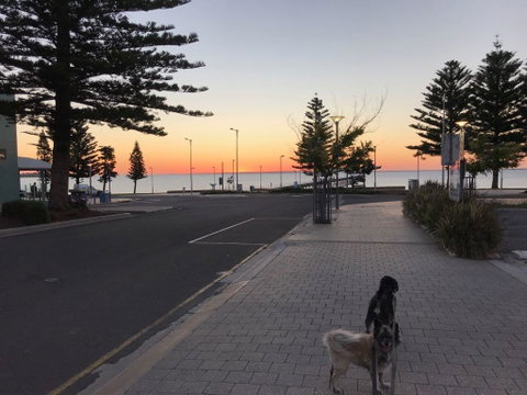 BIG4 Ceduna Tourist Park - Brisbane Tourism 34