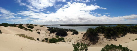 BIG4 Ceduna Tourist Park - Brisbane Tourism 40