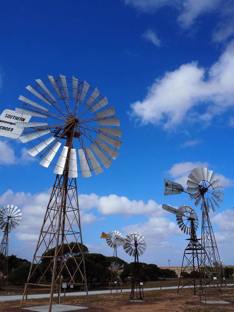 BIG4 Ceduna Tourist Park - Brisbane Tourism 33