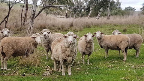 D2 At Watervale - Tourism Brisbane 24