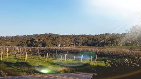 D2 At Watervale - Tourism Brisbane 23