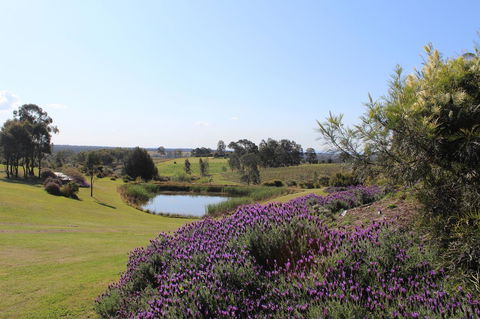 Beltana Villas - Tourism Brisbane 7