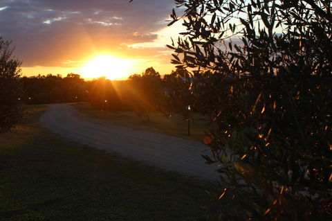 Beltana Villas - Tourism Brisbane 26