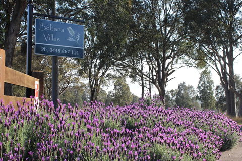 Beltana Villas - Tourism Brisbane 10