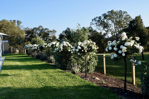 Beltana Villas - Tourism Brisbane 2