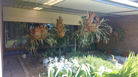 Hilltop Escape - Tourism Brisbane 11