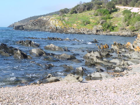 Ashendens At Penneshaw - Tourism Brisbane 2