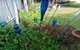 Addies Place Goolwa - thumb 12