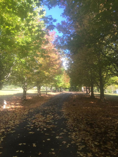 A Peaceful Cabin In The Country - Tourism Brisbane 0