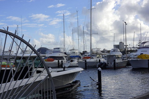 Oceanside 23 - Tourism Brisbane 24