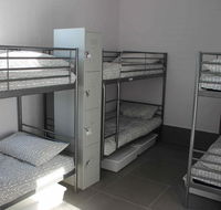 Koalas Perth City Backpackers Hostel - Tourism Brisbane