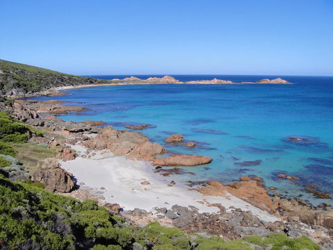 Villa On Fearn - Tourism Brisbane 20